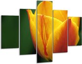 Glasschilderij -  Tulp - Geel, Groen, Oranje - 100x70cm 5Luik - Geen Acrylglas Schilderij - GroepArt 6000+ Glasschilderijen Collectie - Wanddecoratie- Foto Op Glas