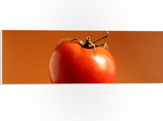 PVC Schuimplaat - Rode Tomaat tegen Oranje Achtergrond - 60x20 cm Foto op PVC Schuimplaat (Met Ophangsysteem)