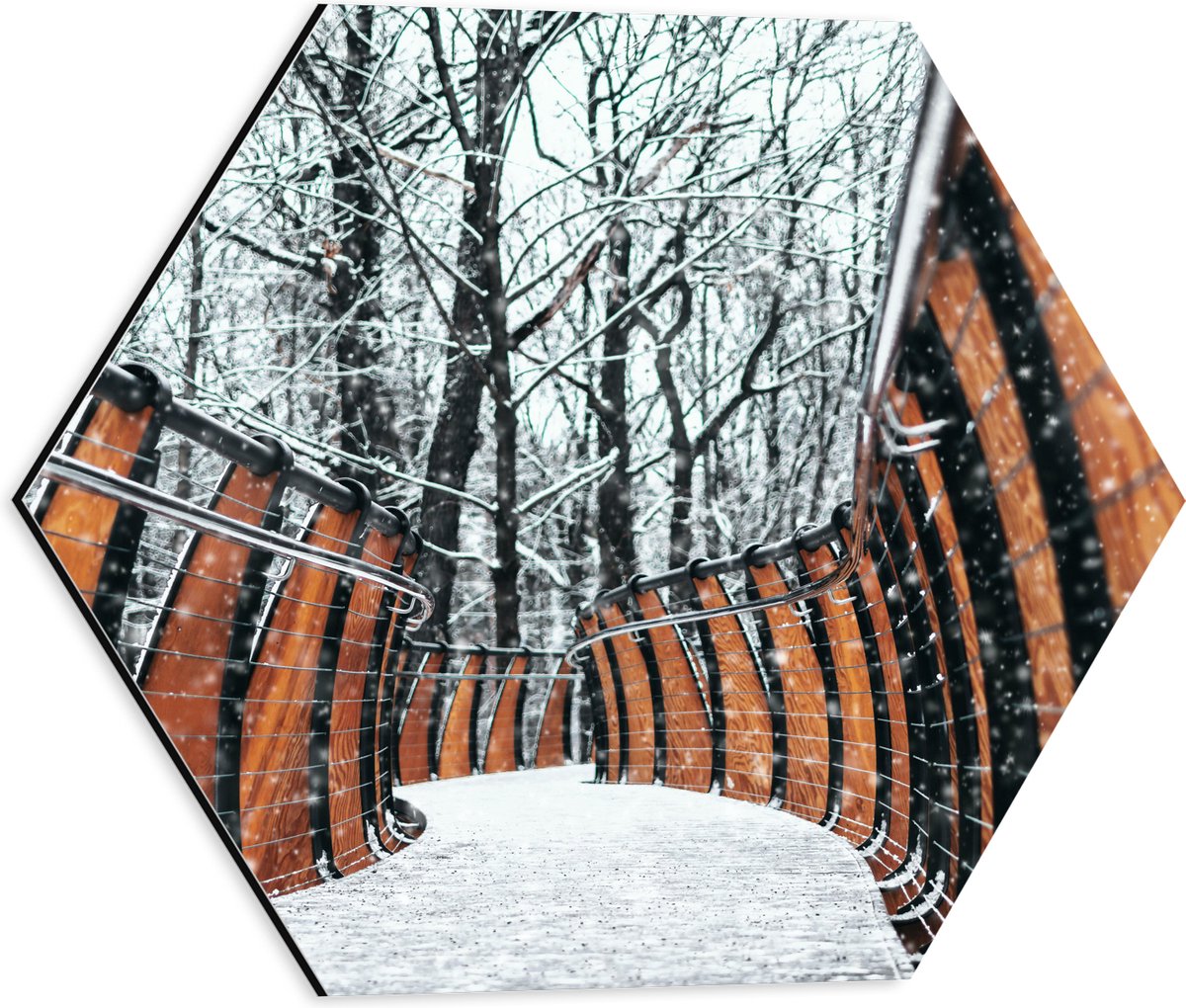 Dibond Hexagon - Hekwerk in Ondergesneeuwd Bos - 40x34.8 cm Foto op Hexagon (Met Ophangsys