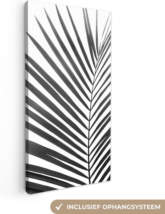 Canvas Schilderij Plant - Zwart wit - Natuur - Blad - 40x80 cm - Wanddecoratie