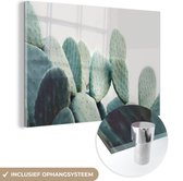 MuchoWow® Glasschilderij 120x80 cm - Schilderij acrylglas - Cactus - Groen - Plant - Natuur - Foto op glas - Schilderijen
