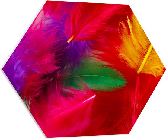 PVC Schuimplaat Hexagon - Meerkleurige Veren in Felle Kleuren - 70x60.9 cm Foto op Hexagon (Met Ophangsysteem)