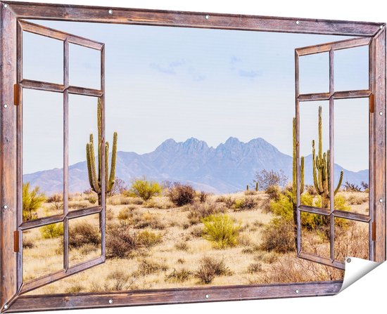 Affiche de jardin Gards Cactus transparents dans le désert - 180x120 cm - Toile de jardin - Décoration de jardin - Décoration murale extérieure - Tableau de jardin