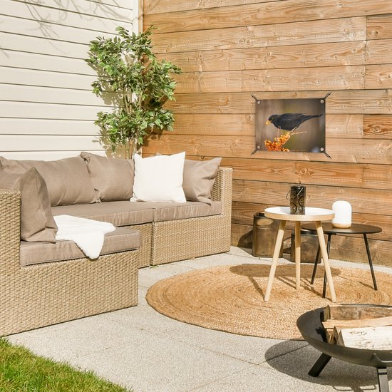 Décoration de Jardin Vogel - Merle - Hiver - Glace - Baie - 40x30 cm - Toile de jardin - Poster extérieur