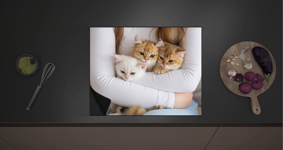 Inductie Beschermer - Drie Britse Korthaar Kittens in de Armen van een Meisje - 60x52 cm - 2 mm Dik - Inductieplaat Beschermer met zwarte kern