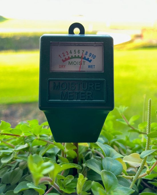 Groene vochtigheidsmeter in weelderige groene planten met een zachte achtergrond.