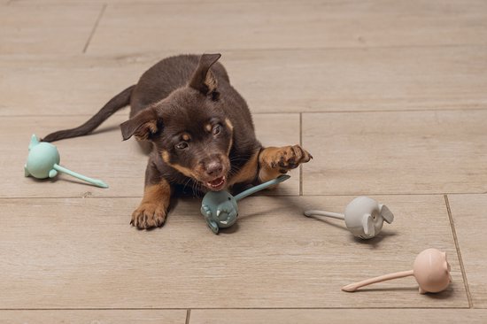 Bruine puppy speelt met muizenspeeltjes in mintgroen, grijs en lichtroze.