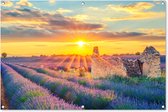Tuinposter lavendel - Bloemen - Paars - Natuur - Avond - Zon - Tuindecoratie - Tuinschilderij voor buiten - Tuin - Tuindoek - 120x80 cm - Schuttingdoek - Schutting decoratie - Schuttingposter