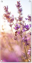 Tuinposter Lavendel - Close-up - Zon - Bloemen - Paars - 40x80 cm - Wanddecoratie Buiten - Tuinposter - Tuindoek - Schuttingposter - Tuinschilderij