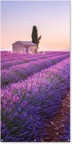 Schuttingposter Lavendel - Zonsondergang - Paars - Bloemen - 100x200 cm - Tuindoek