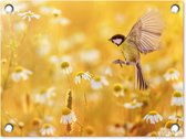 Tuinposter vogels - Bloemen - Margriet - Zomer - Natuur - Geel - Tuin - Tuindecoratie - Tuinschilderij voor buiten - Schuttingdoek - 40x30 cm - Schutting decoratie - Tuindoek - Tuinposters