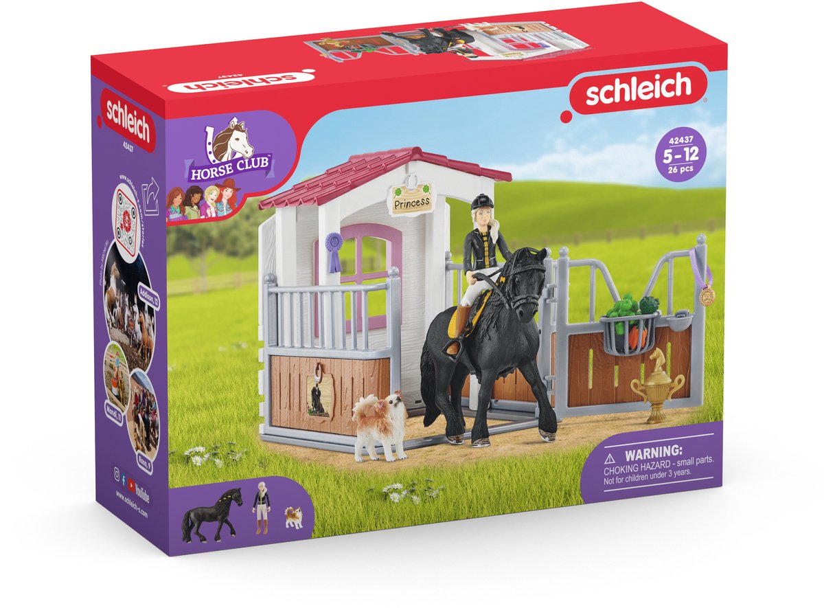 schleich HORSE CLUB - Speelfigurenset - Paardenstal met Horse Club Tori & Princess - Kinderspeelgoed voor Jongens en Meisjes - 5 tot 12 jaar - 14 Onderdelen - 42437 — afbeelding 19