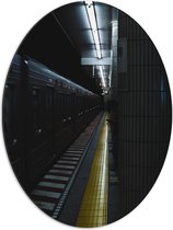 Dibond Ovaal - Rijdende Trein - 51x68 cm Foto op Ovaal (Met Ophangsysteem)