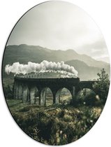 Dibond Ovaal - Stoomtrein op Glenfinnanviaduct - 42x56 cm Foto op Ovaal (Met Ophangsysteem)