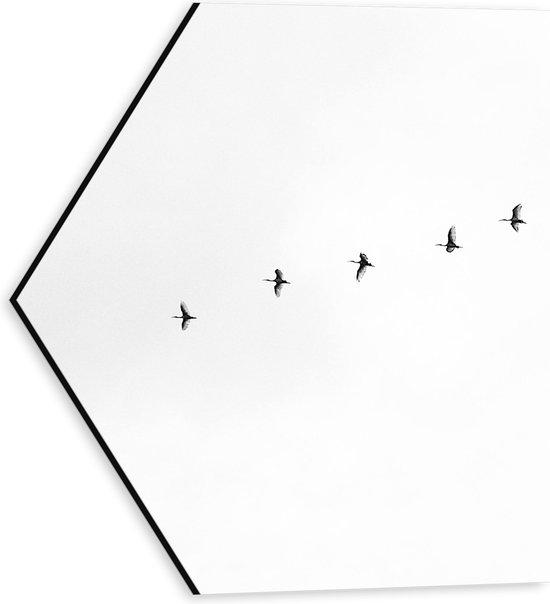 WallClassics - Dibond Hexagon - Zwarte Vogels Vliegend in Lijn op Witte Achtergrond - 30x26.1 cm Foto op Hexagon (Met Ophangsysteem)