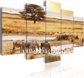 Schilderij - Zebra's op de Savanne - Afrika, 5luik, Geel/beige, wanddecoratie