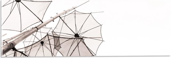 Acrylglas - Doorzichtige Paraplu Vormen tegen Witte Achtergrond - 60x20 cm Foto op Acrylglas (Met Ophangsysteem)