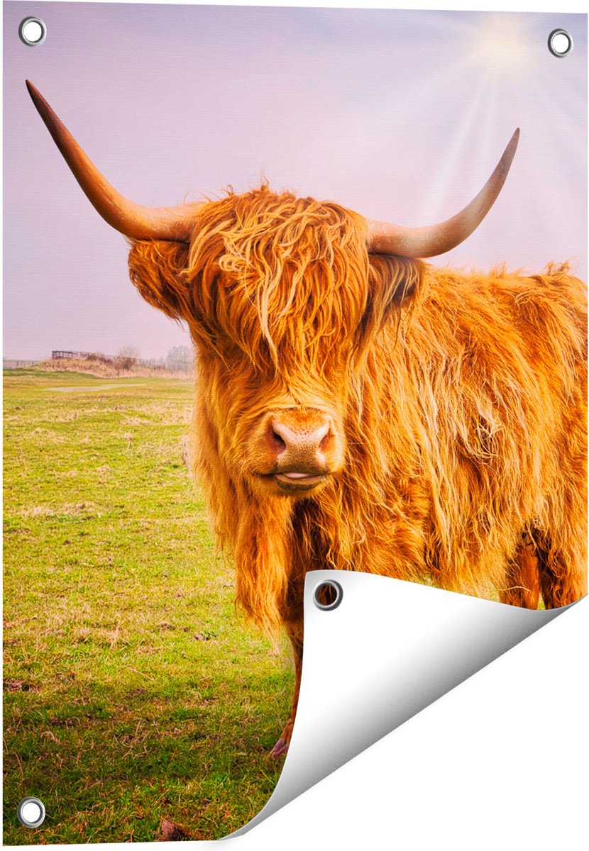 Gards Tuinposter Bruine Schotse Hooglander Koe - Kleur - 40x50 cm - Tuindoek - Tuindecoratie - Wanddecoratie buiten - Tuinschilderij Multikleur