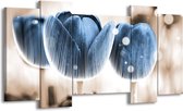GroepArt - Schilderij - Tulp - Blauw, Wit - 120x65 5Luik - Foto Op Canvas - GroepArt 6000+ Schilderijen 0p Canvas Art Collectie - Wanddecoratie