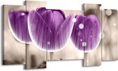 Peinture sur toile Tulipe | Violet, blanc | 120x65 5 Liège