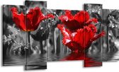 GroepArt - Schilderij - Tulpen - Zwart, Rood, Grijs - 120x65 5Luik - Foto Op Canvas - GroepArt 6000+ Schilderijen 0p Canvas Art Collectie - Wanddecoratie