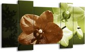 GroepArt - Schilderij - Orchidee - Groen, Bruin, Wit - 120x65 5Luik - Foto Op Canvas - GroepArt 6000+ Schilderijen 0p Canvas Art Collectie - Wanddecoratie