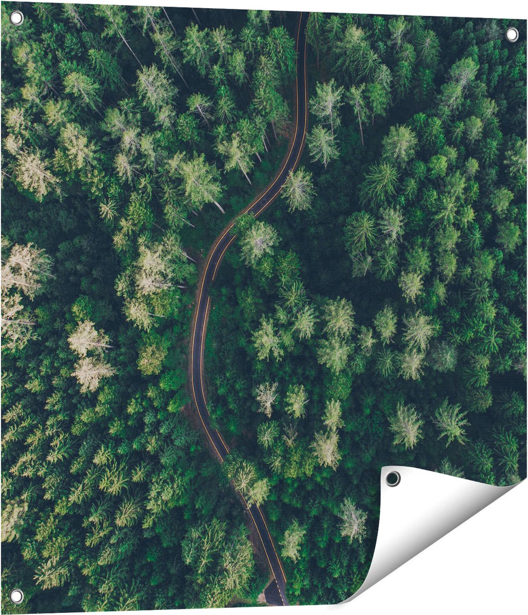 Gards Tuinposter Weg Door Bos met Bomen - Bovenaanzicht - 70x70 cm - Tuindoek - Tuindecoratie - Wanddecoratie buiten - Tuinschilderij Multikleur