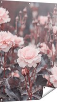 Gards Tuinposter Roze Rozen Bloemen - 80x120 cm - Tuindoek - Tuindecoratie - Wanddecoratie buiten - Tuinschilderij