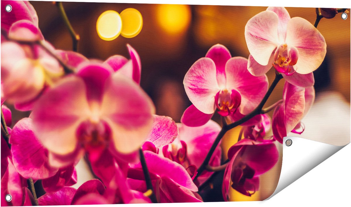 Gards Tuinposter Roze Orchidee Bloemen - 100x50 cm - Tuindoek - Tuindecoratie - Wanddecoratie buiten - Tuinschilderij Multikleur