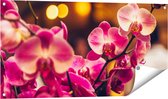 Gards Tuinposter Roze Orchidee Bloemen - 100x50 cm - Tuindoek - Tuindecoratie - Wanddecoratie buiten - Tuinschilderij