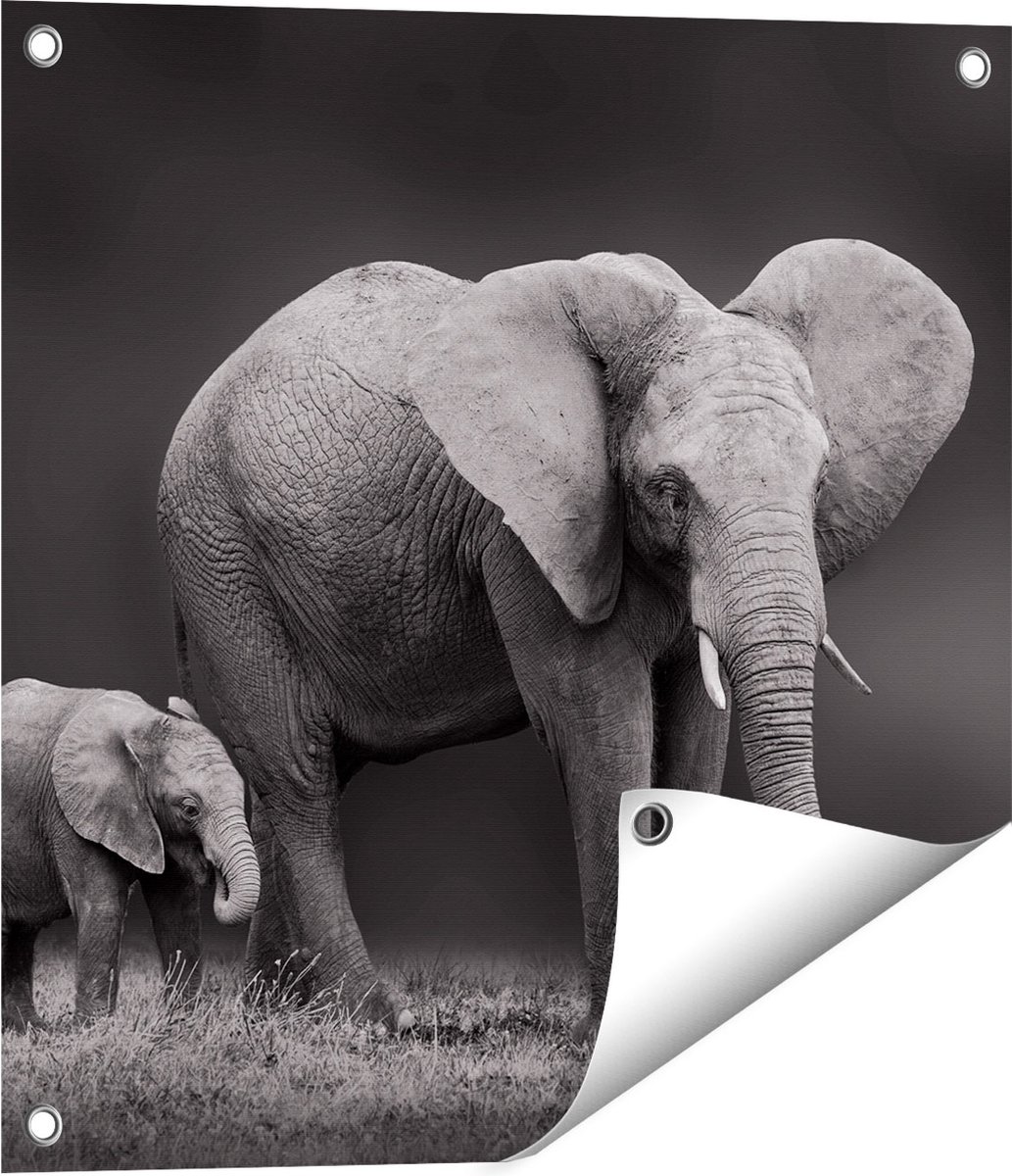 Gards Tuinposter Olifant Moeder en Zoon - Zwart Wit - 50x50 cm - Tuindoek - Tuindecoratie - Wanddecoratie buiten - Tuinschilderij Multikleur