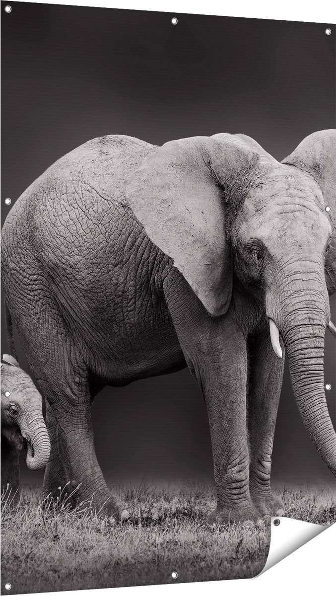 Gards Tuinposter Olifant Moeder en Zoon - Zwart Wit - 100x150 cm - Tuindoek - Tuindecoratie - Wanddecoratie buiten - Tuinschilderij Multikleur
