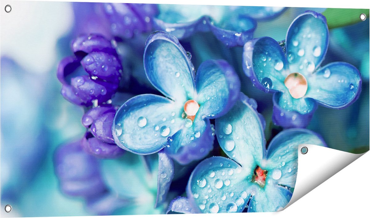Gards Tuinposter Blauwe Lila Bloemen - Seringen - 100x50 cm - Tuindoek - Tuindecoratie - Wanddecoratie buiten - Tuinschilderij Multikleur