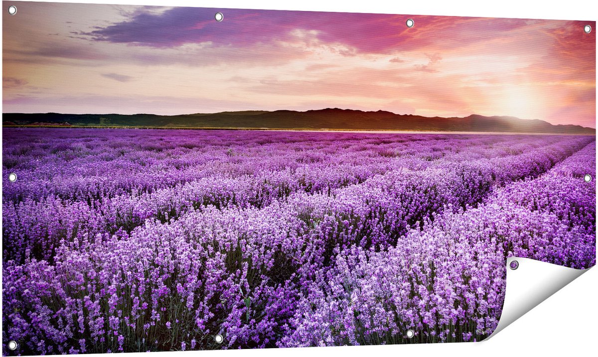 Gards Tuinposter Bloemenveld met Paarse Lavendel - Bloemen - 140x70 cm - Tuindoek - Tuindecoratie - Wanddecoratie buiten - Tuinschilderij Multikleur