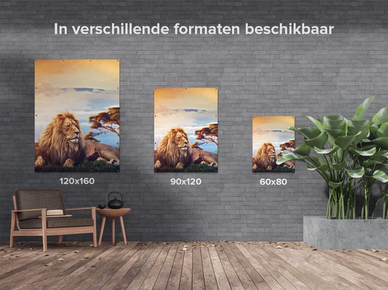 Affiche jardin Gards Lion au coucher du soleil - 120x160 cm - Toile jardin - Décoration de jardin - Décoration murale extérieur - Tableau jardin