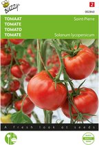 Buzzy - Tomatenpakket - Extra zaden - 11 soorten - Moestuin - Hoge kiemkracht