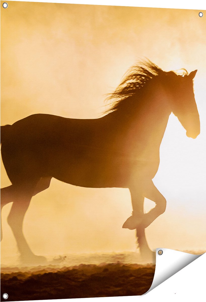 Gards Tuinposter Silhouet van een Paard - 80x100 cm - Tuindoek - Tuindecoratie - Wanddecoratie buiten - Tuinschilderij Multikleur