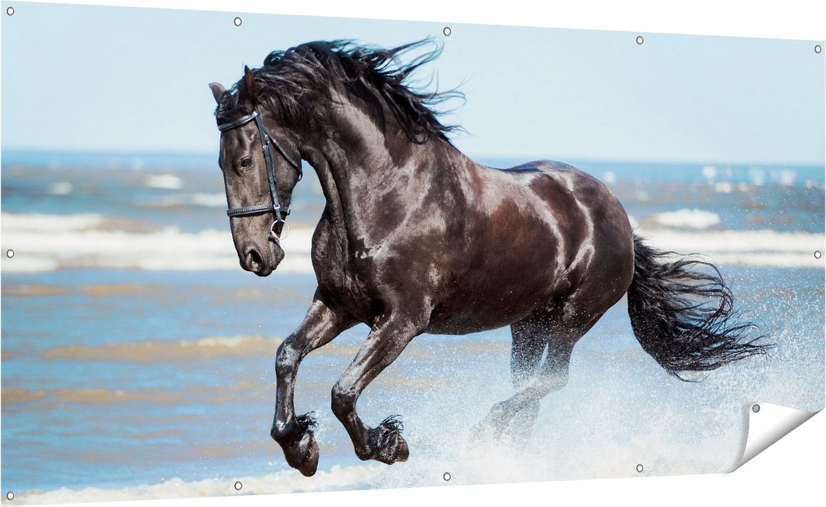 Gards Tuinposter Zwart Paard in het Water - 200x100 cm - Tuindoek - Tuindecoratie - Wanddecoratie buiten - Tuinschilderij Multikleur