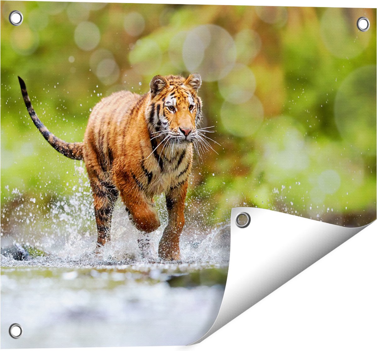 Gards Tuinposter Tijger Loopt in het Water - 50x40 cm - Tuindoek - Tuindecoratie - Wanddecoratie buiten - Tuinschilderij Multikleur