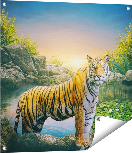 Gards Tuinposter Luipaard in een Vijver bij Zonsondergang - 70x70 cm - Tuindoek - Tuindecoratie - Wanddecoratie buiten - Tuinschilderij