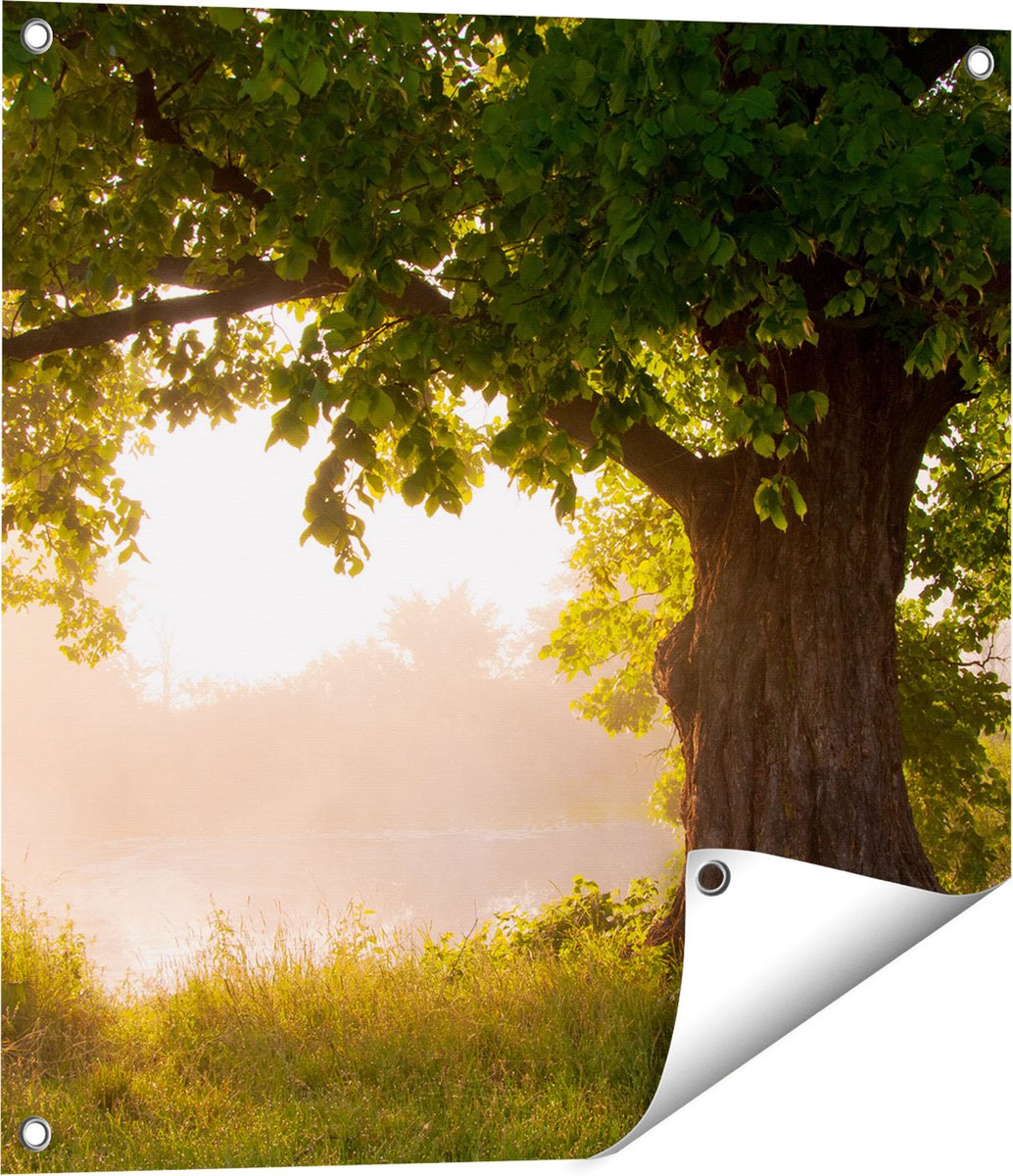 Gards Tuinposter Eikenboom aan het Water met Volle Bladeren - 60x60 cm - Tuindoek - Tuindecoratie - Wanddecoratie buiten - Tuinschilderij Multikleur