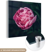 MuchoWow® Glasschilderij 50x50 cm - Schilderij acrylglas - Bloemen - Roze - Rozen - Foto op glas - Schilderijen