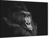 Gorilla op zwarte achtergrond - Foto op Canvas - 90 x 60 cm