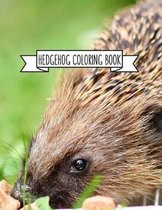 Hedgehog Coloring Book