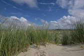 Fotobehang vuurtoren van Ameland 250 x 260 cm