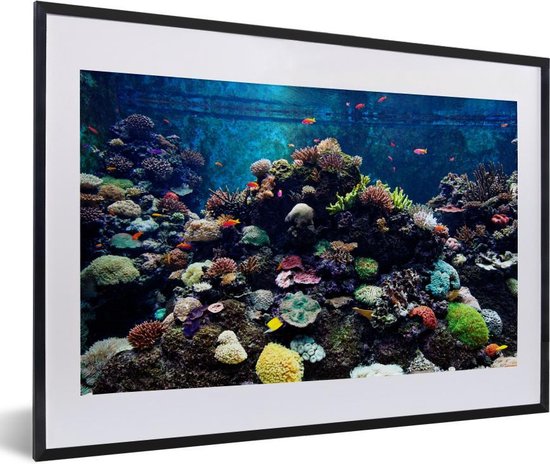 Foto in lijst - met tropische vissen en koralen fotolijst met | bol.com