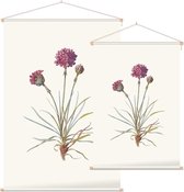 Engels Gras (Sea Thrift) - Foto op Textielposter - 120 x 180 cm