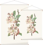 Clematis Armandii (Apple Blossom) - Foto op Textielposter - 120 x 180 cm