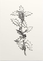 Ilex Hulst zwart-wit (Holly Branch) - Foto op Posterpapier - 42 x 59.4 cm (A2)