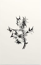 Hulst zwart-wit (Holly) - Foto op Forex - 80 x 120 cm